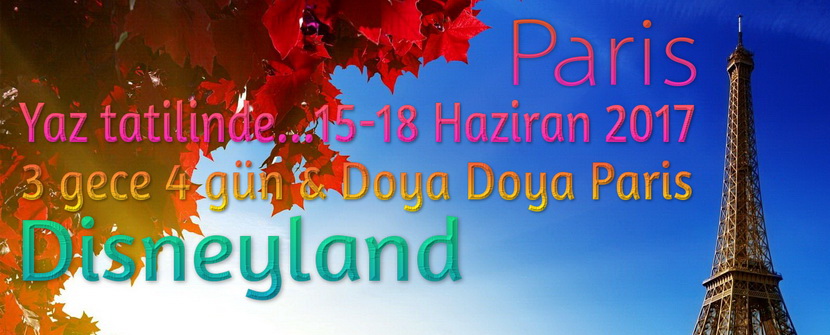 12-11.jpg