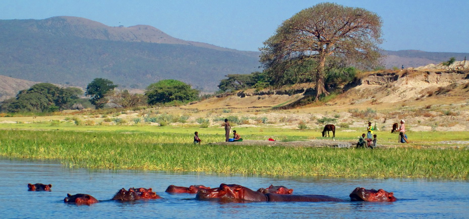 1502206691_0-ethiopiaawassa.jpg