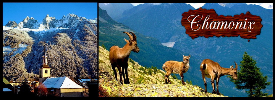 alpler-chamonix.jpg