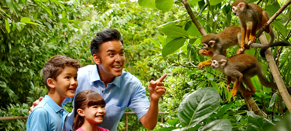 enjoy-a-family-holiday-river-safari-rect.jpg