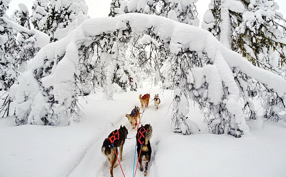 finland-1275565_960_720-4.jpg
