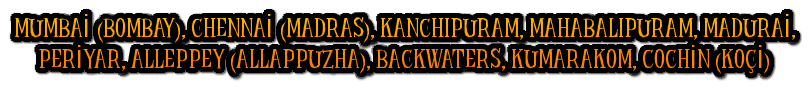 tt-3.png