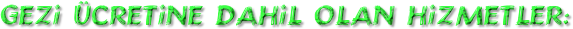 x13.png